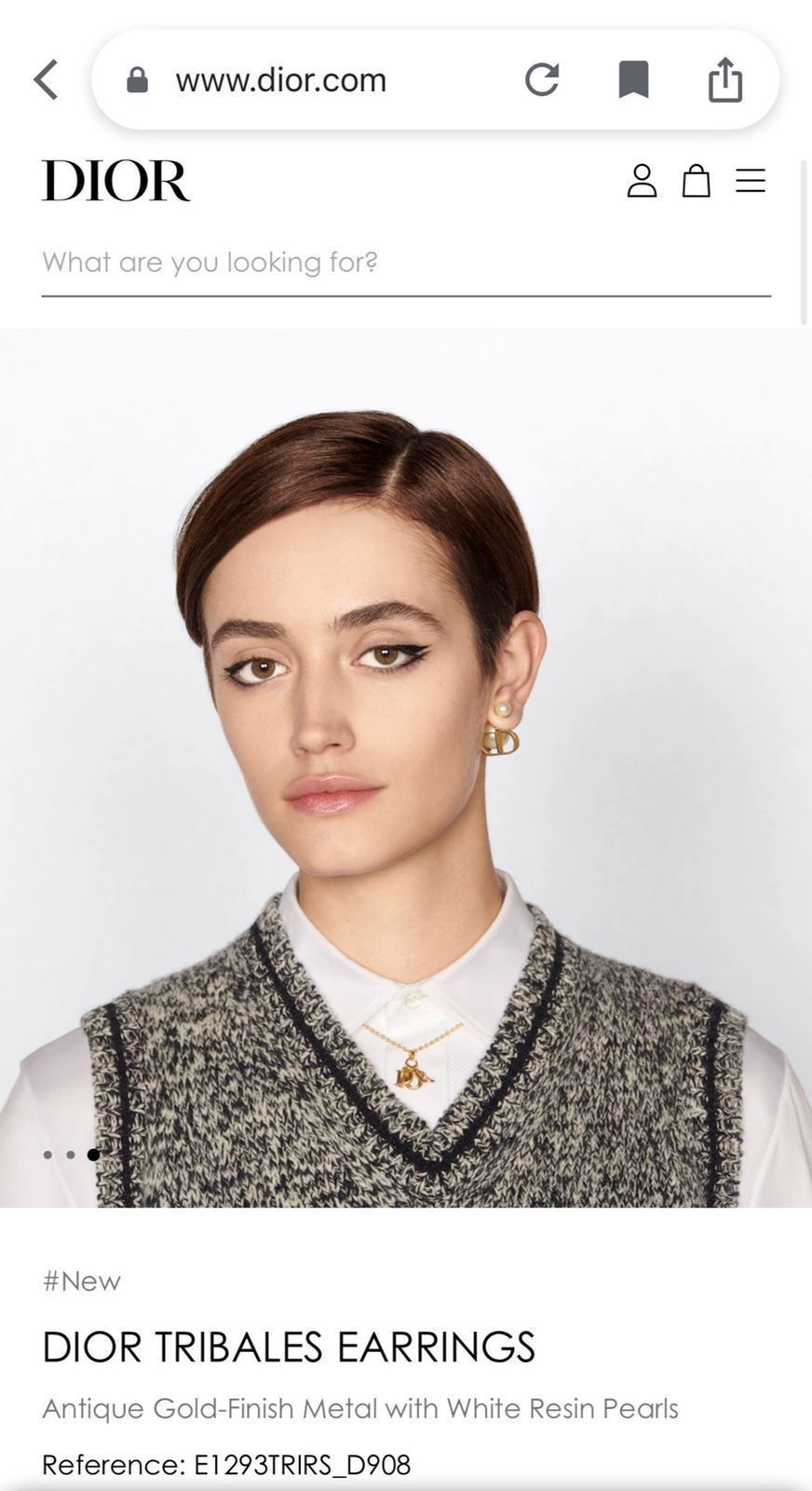 Amazing Dor Tribales Earrings