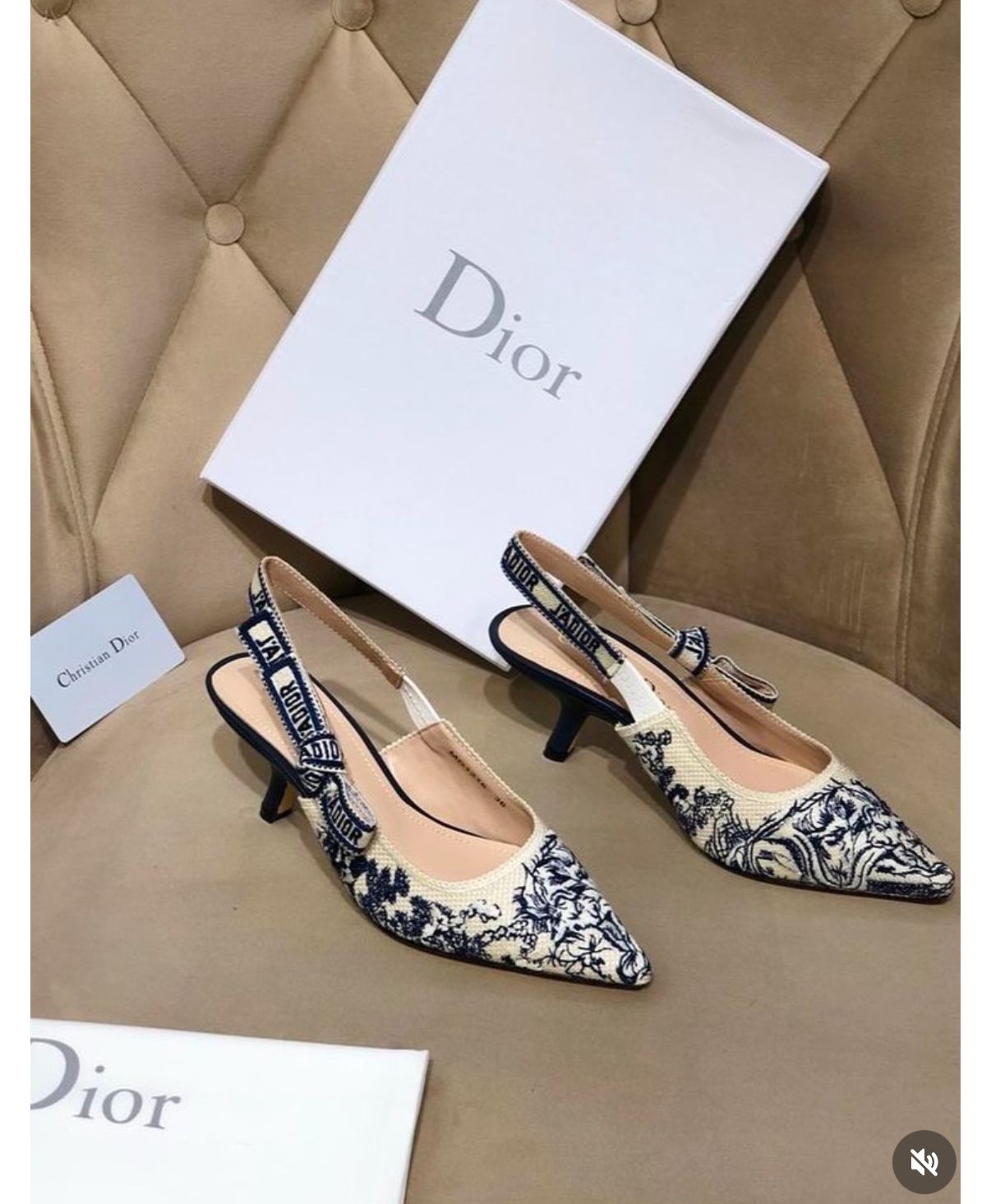 Luxury Designer Heels