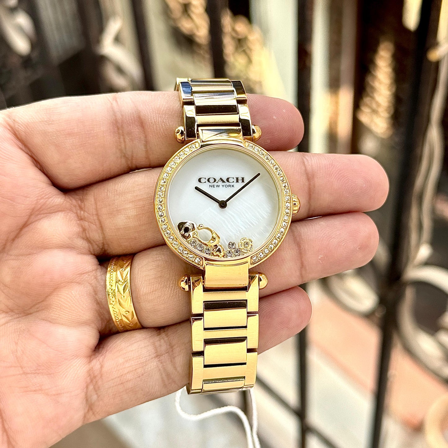 Luxury Women’s Quartz Watch – Cary Model