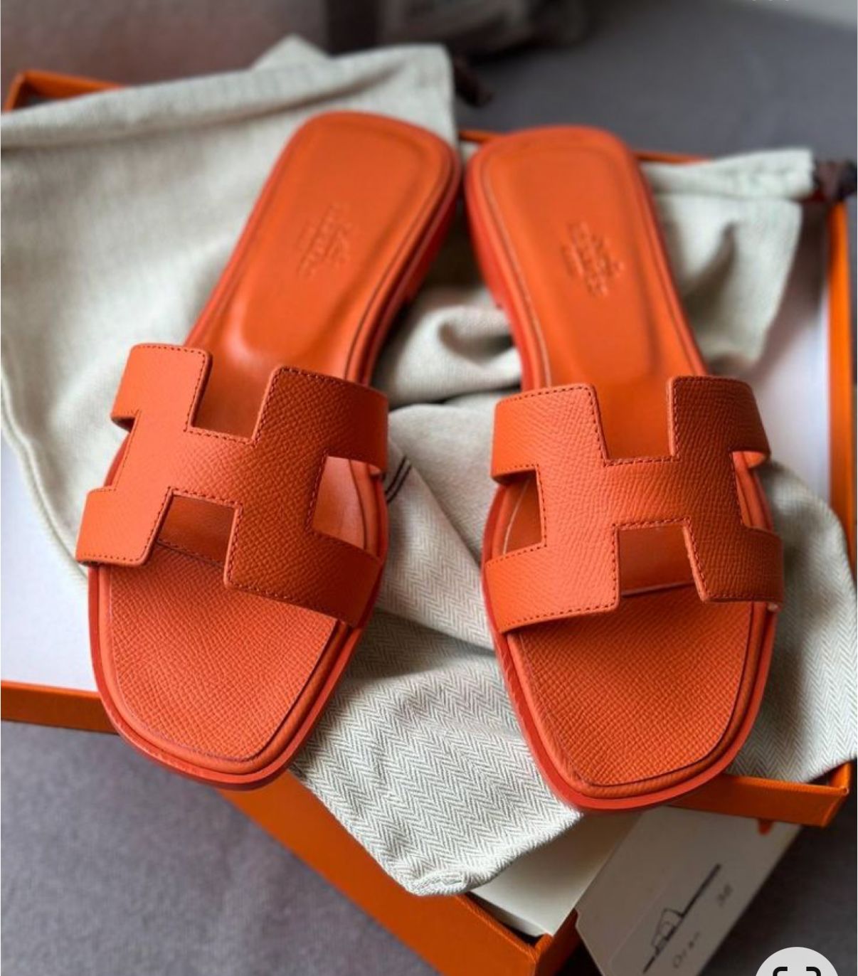 Luxury Designer Oran Flats