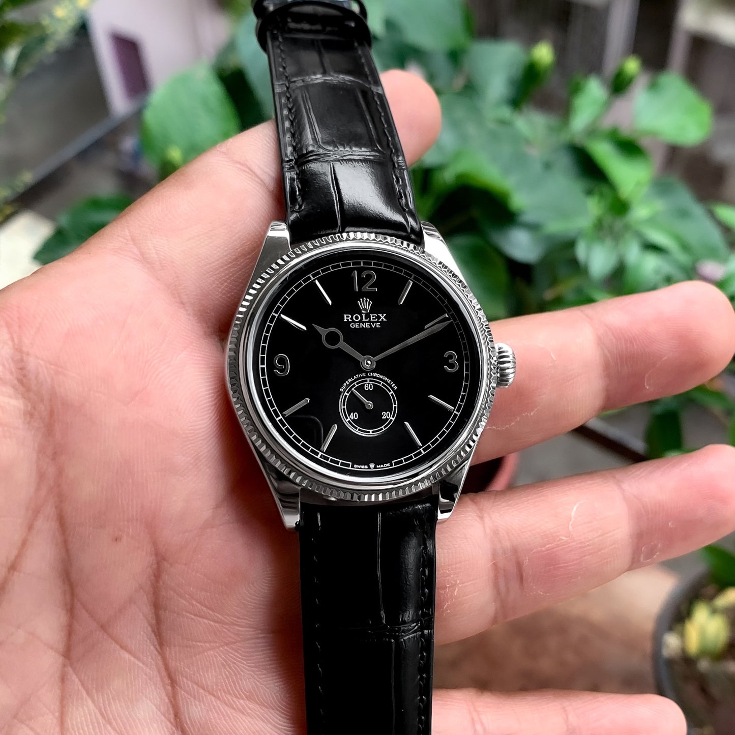 Premium Automatic Luxury Watch | For Men